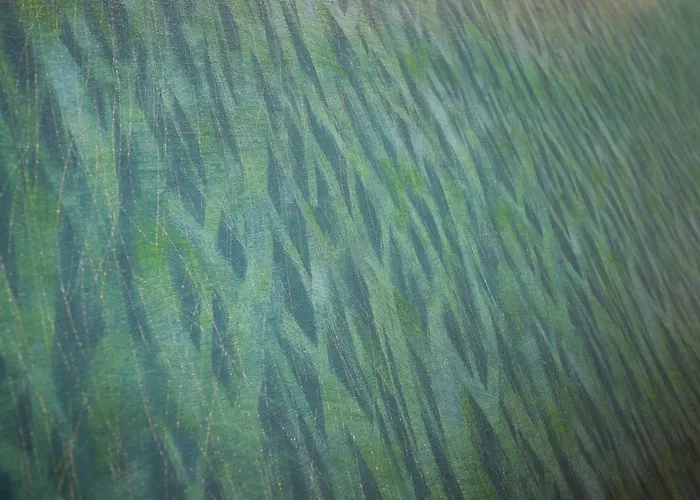 Anama B&B * لوتشرا